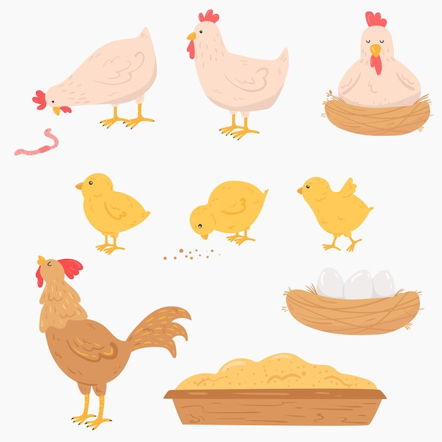 Vector set of cartoon chickens hens rooster and chicks tray of grain feed nest with eggs farm birds