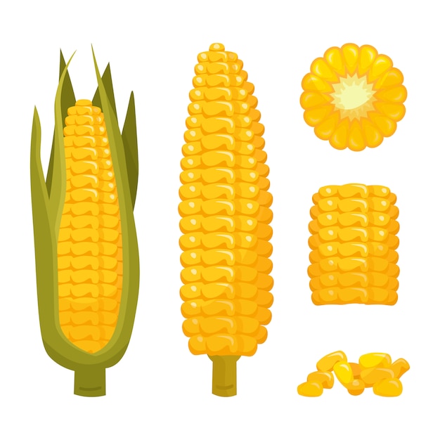 Set of cartoon corn in leaves and peeled