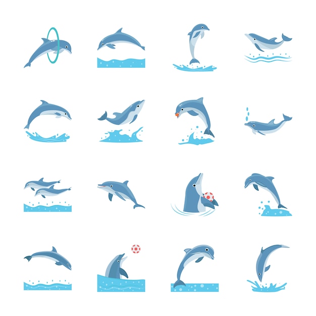 Set Of Cartoon Dolphins