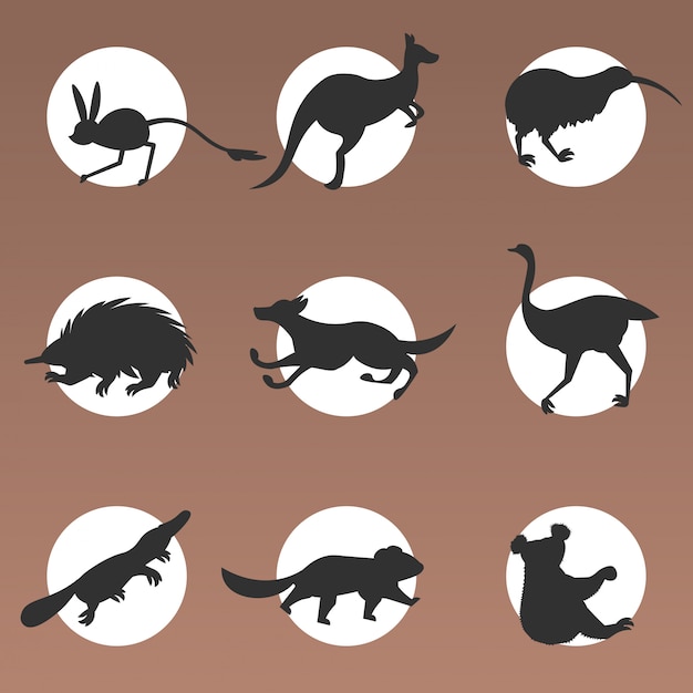 Vector set cartoon endangered wild australian animals tasmanian devil echidna dingo jerboa ostrich kiwi platypus koala kangaroo symbols collection wildlife species fauna concept flat