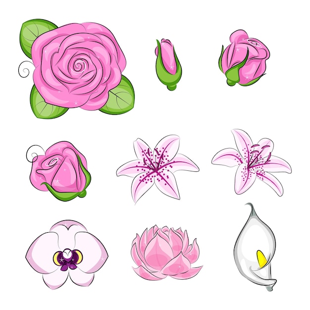 Set of cartoon flowers Pink lily Orchid Water lily and Kala vector illustration