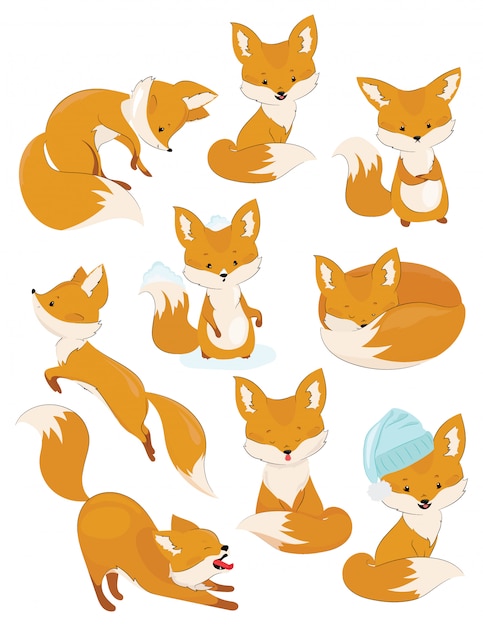 Vector set of cartoon foxes. collection of cute foxes.  illustration for children. wild animals.