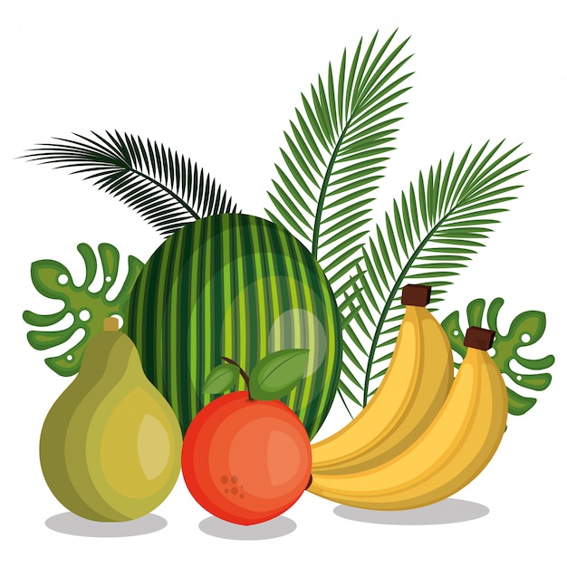 Impostare il design di frutti tropicali dei cartoni animati