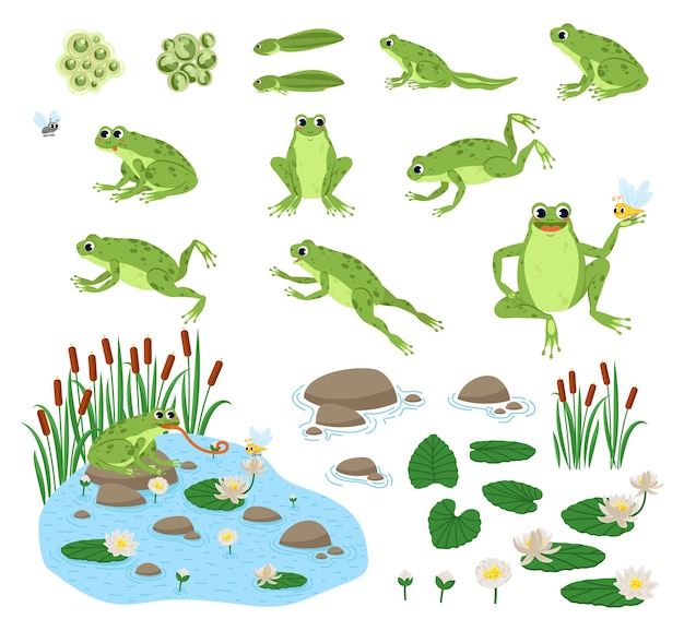 Vector set of cartoon hungry frog sad, smile, resting and hunting.