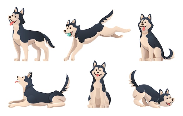 Set cartoon husky hond in verschillende poses