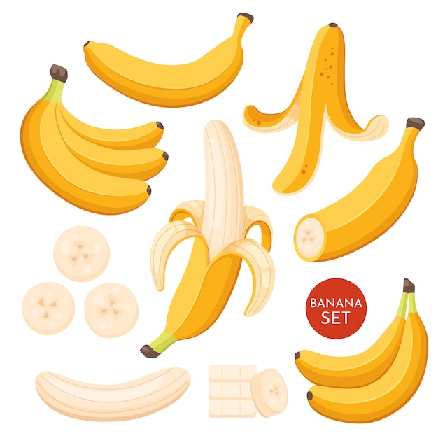 Vector set of cartoon illustration yellow bananas. single, banana peel and bunches of fresh banana fruits.