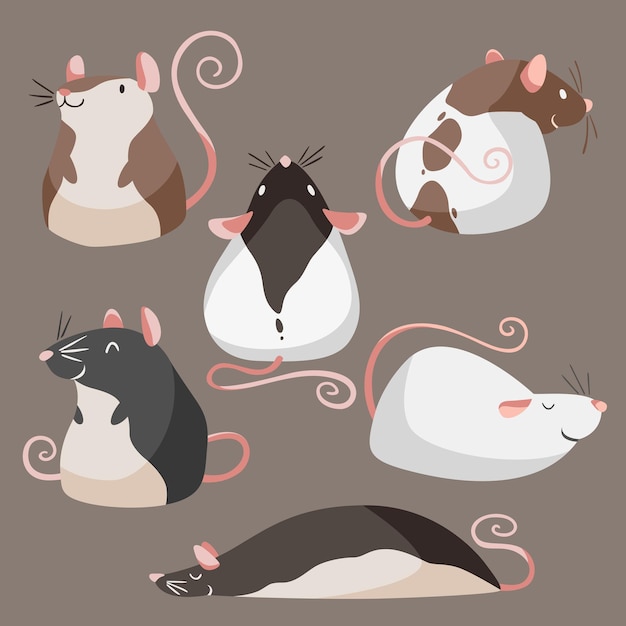 set of cartoon illustrations about cute fat mouse