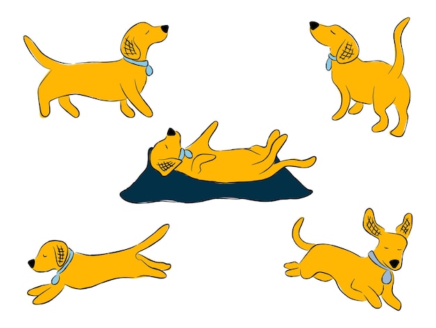 Vector set of cartoon playful dachshunds