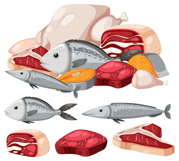 Vector set of cartoon protein food