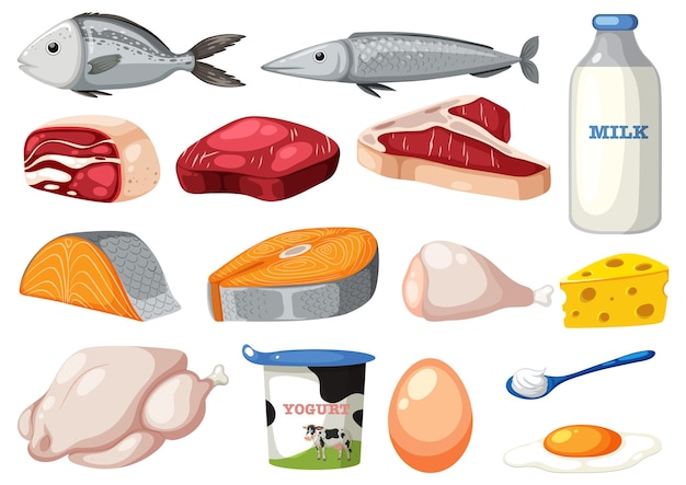 Vector set of cartoon protein food