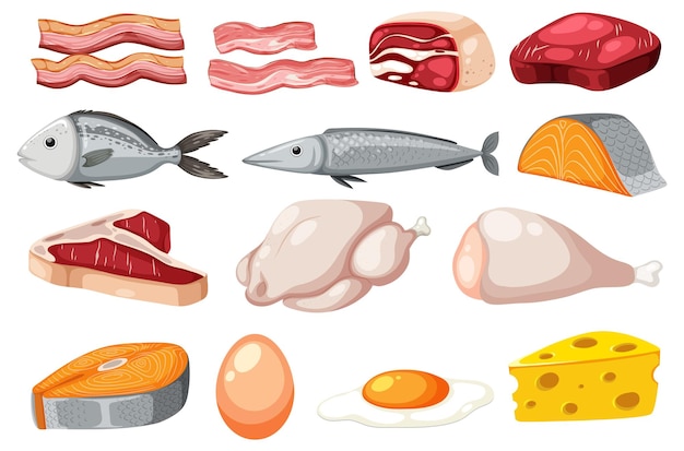 Vector set of cartoon protein food