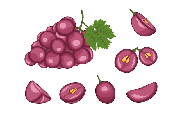 Set of cartoon Vector grapes Fruit berry illustration for farm market menu Healthy food design