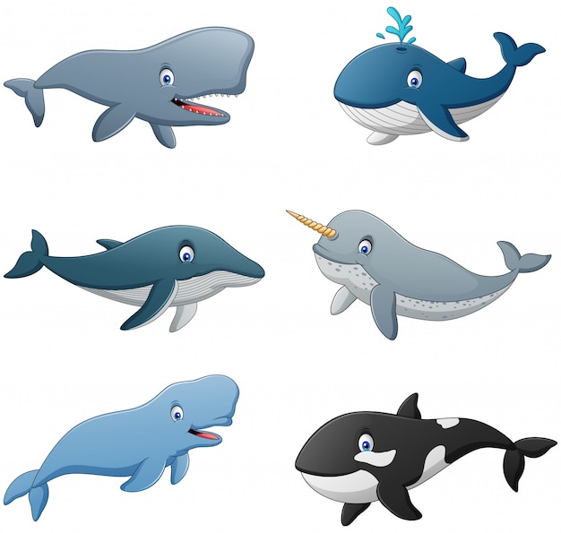 Set of cartoon whale.  illustration