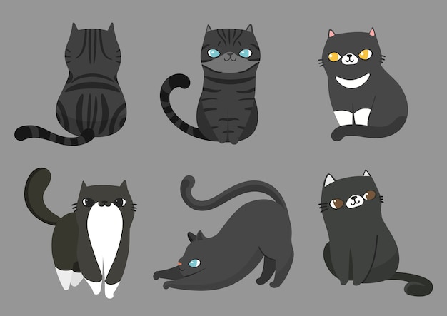 Set of cats in different poses.