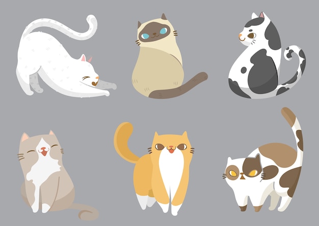 Set of cats in different poses.