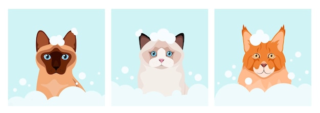 A set of cats in foam cartoon design grooming