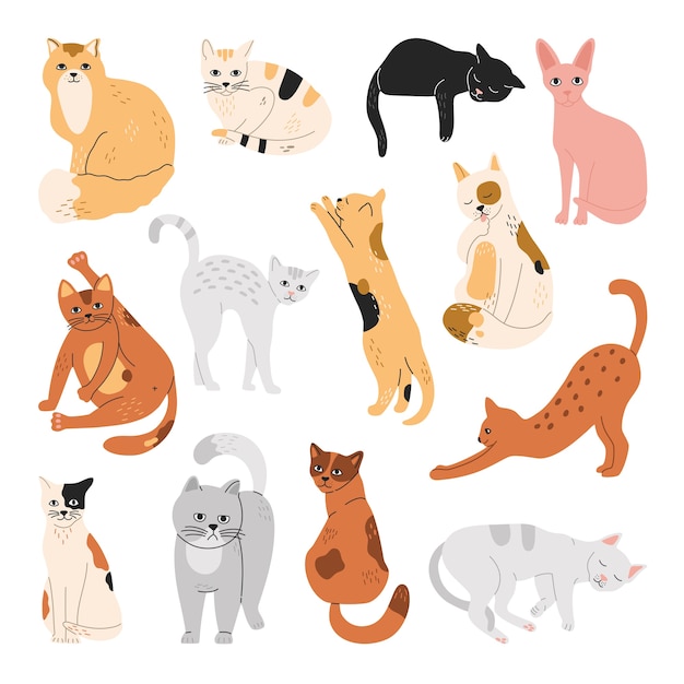 Set of cats, funny pets, sleeping, sitting, standing in different poses.