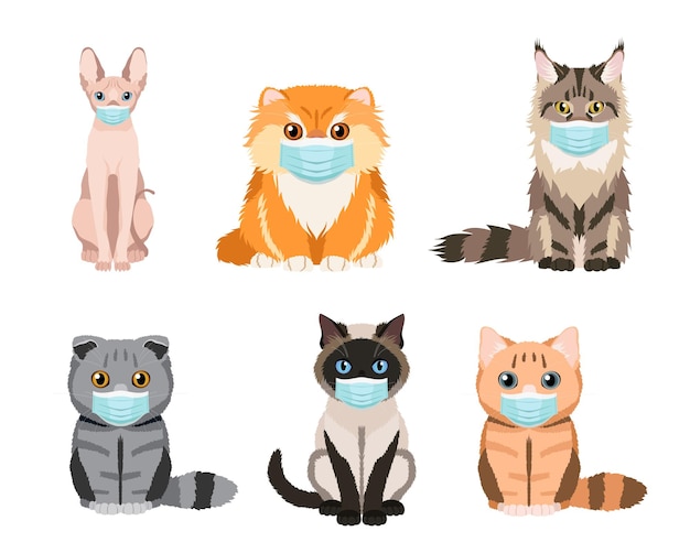 Set of cats wearing protective face masks Collection of vector illustrations isolated on white back