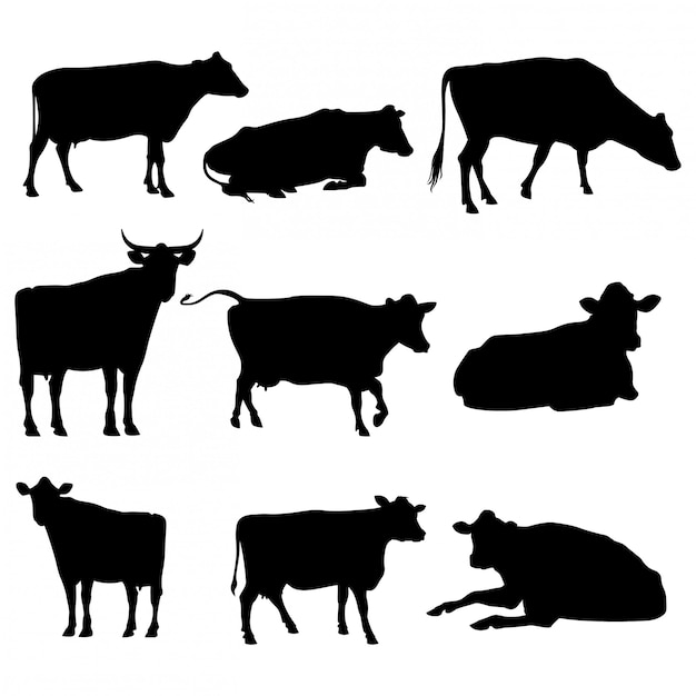 Vector set cattle silhouettes collection isolated on white