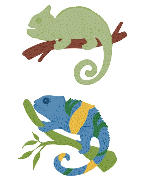 Vector set chameleons isolated on white background. hand drawn doodle illustration.