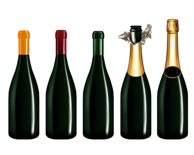 Vector set of champagne bottle isolated on white backgroundvector illustration