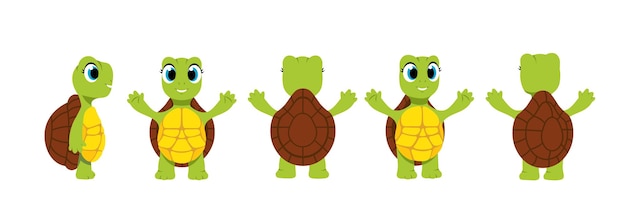 Vector set of character constructor for animation body of cute turtle with its shell from different sides