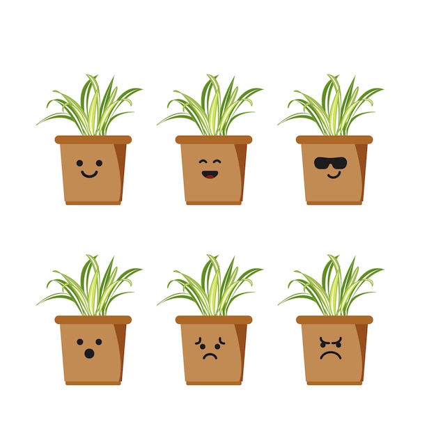 Set character spider plant illustration