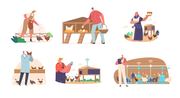 Vector set of characters tending to chickens on farm feeding and ensuring their wellbeing concept of livestock farming