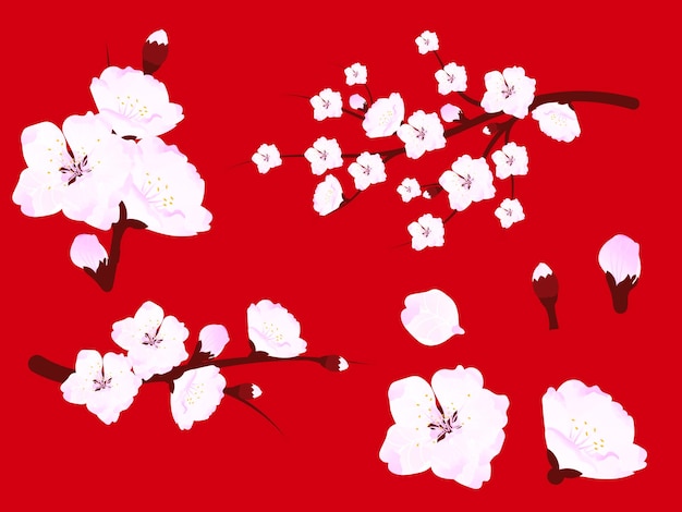 Set di rami e fiori di fiori di ciliegio elementi di design primaverile illustrazione vettoriale in stile asiatico su sfondo rosso
