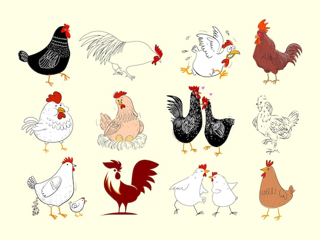 Insieme dell'illustrazione disegnata a mano di vettore dell'icona dell'azienda agricola del pollame animale della gallina del gallo del pollo