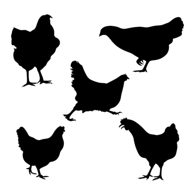 set of chicken silhouettes