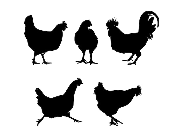 Vector set of chickens silhouette isolated on a white background  vector illustration