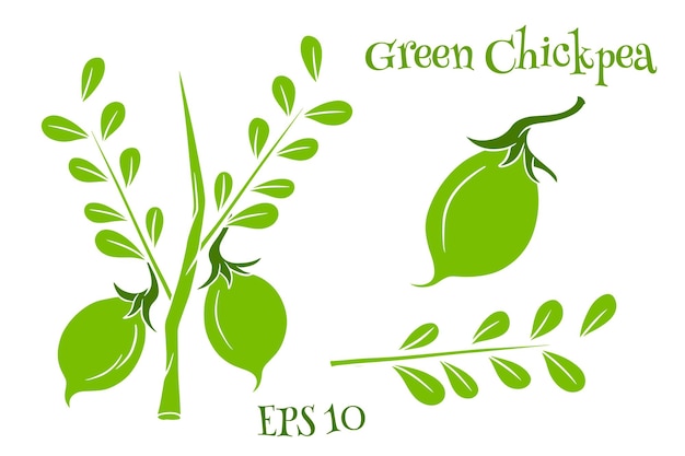 A set of chickpeas Fresh chickpeas on a twig with leaves In a cartoon style Vector illustration for design and decoration