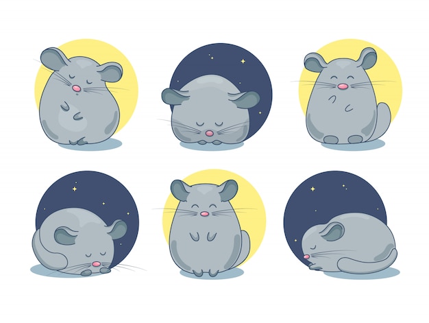 Set of chinchilla pet drawings