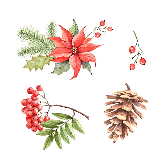 Set of christmas botanical illustrations for holiday design vector watercolor