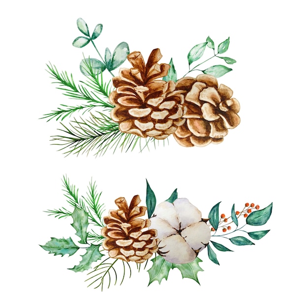 Set Christmas bouquet with eucalyptus and fir branch and pine cones  watercolor illustration