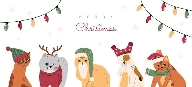 Vector set of christmas cats, collection of funny cute pets in hats and sweaters. kitten with deer horns