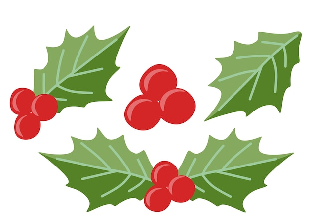 set of christmas holly icons flat style vector elements isolated on white floral illustration holiday decoration december seasonal template for postcard banner winter graphic design