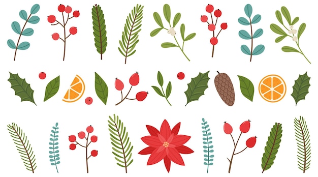 Vector set of christmas plant elements christmas berries leaves twigs flowers