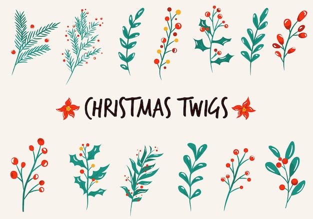 Set of christmas twigs, branches, plants. vector illustration isolated on a white background