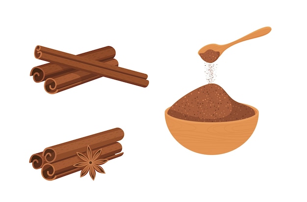 Set of cinnamon sticks with powder and star anise isolated on white background vector illustration