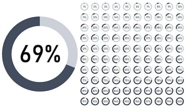 Set di diagrammi percentuali circolari da 0 a 100 per l'infografica illustrazione vettoriale