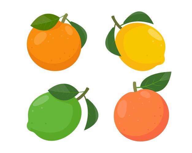 Set of citrus fruits icons Fresh whole orange lemon lime and grapefruit with leaves