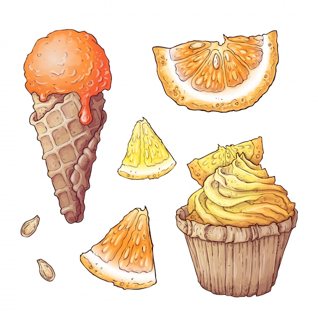 Set of citrus ice cream and cupcake