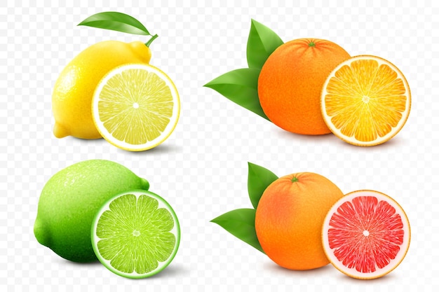 Vector set of citrus lemon mandarin lime orange grapefruit whole cut half fresh sour citrus fruit with vitamins realistic 3d vector illustration isolated on white background