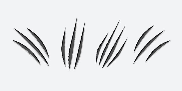 Vector set of claws scratches mark vector illustration isolated on white background concept of monster