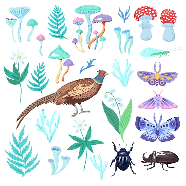 Vector set of clip art of forest plants birds and insects magical mushrooms and vector nature elements for design