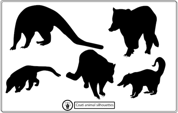 Vector set of coati animal vector silhouettes.