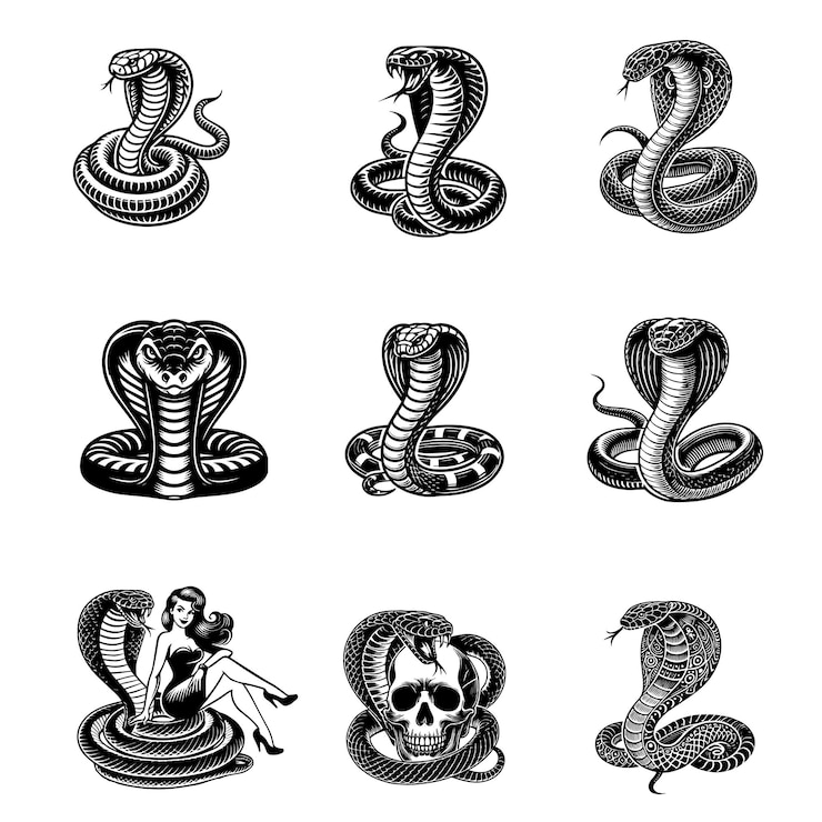 Vector set of cobra snake silhouette design king cobra vector illustration