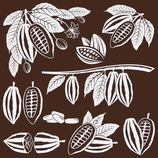 Set of cocoa beans